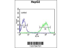Flow Cytometry (FACS) image for anti-Epiregulin (EREG) antibody (ABIN2158733)