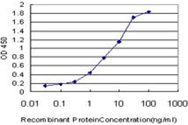 anti-Centrin, EF-Hand Protein, 2 (CETN2) (AA 85-172) antibody