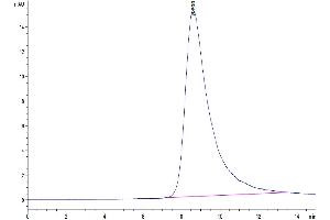 Size-exclusion chromatography-High Pressure Liquid Chromatography (SEC-HPLC) image for Interleukin 13 (IL13) protein (His-Avi Tag) (ABIN7274900)