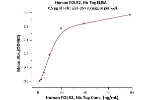 Immobilized Folic acid-BSA conjugate at 5 μg/mL (100 μL/well) can bind Human FOLR2, His Tag (ABIN2181120,ABIN2181119) with a linear range of 2-20 ng/mL (QC tested).