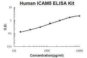 Intercellular Adhesion Molecule 5 (ICAM5) ELISA Kit