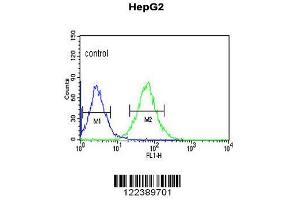 Image no. 2 for anti-Alkaline Ceramidase 3 (ACER3) (AA 224-250), (C-Term) antibody (ABIN652900)