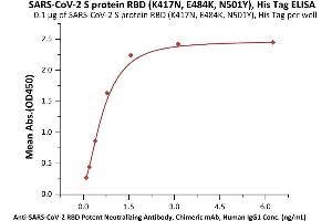 Image no. 1 for SARS-CoV-2 Spike S1 (B.1.351 - beta), (RBD) (Active) protein (His tag) (ABIN7013274)