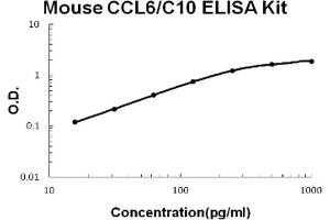 Image no. 1 for Chemokine (C-C Motif) Ligand 6 (CCL6) ELISA Kit (ABIN6719953)