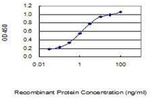 CREM antibody  (AA 201-300)