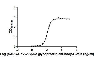 Image no. 1 for anti-SARS-CoV-2 Spike S1 antibody (Biotin) (ABIN6953155)