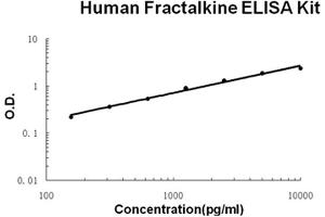 Image no. 1 for Chemokine (C-X3-C Motif) Ligand 1 (CX3CL1) ELISA Kit (ABIN6720364)