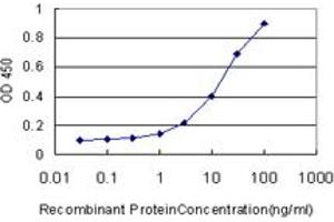 Image no. 1 for anti-Nucleolar Protein 16 (NOP16) (AA 1-178) antibody (ABIN565626)