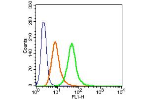 Anti Nucleolin Antibody Alexa Fluor 4 Product No Abin