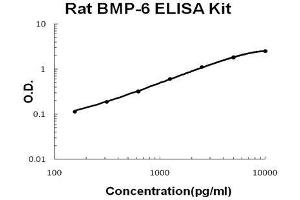 Image no. 1 for Bone Morphogenetic Protein 6 (BMP6) ELISA Kit (ABIN5510747)