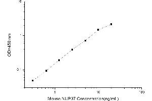 Image no. 1 for Nucleoporin 37kDa (NUP37) ELISA Kit (ABIN1116266)