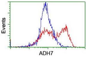 Image no. 1 for anti-Alcohol Dehydrogenase 7 (Class IV), mu Or sigma Polypeptide (ADH7) antibody (ABIN2715883)