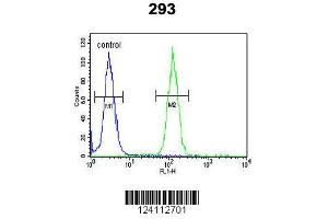 Image no. 3 for anti-Nuclear Receptor Coactivator 7 (NCOA7) (AA 76-103), (N-Term) antibody (ABIN653488)