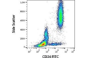 Image no. 1 for anti-CD24 Molecule (CD24) antibody (FITC) (ABIN192413)