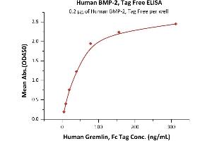 Immobilized Human BMP-2, Tag Free (ABIN2180654,ABIN2180653,ABIN6810028) at 2 μg/mL (100 μL/well) can bind Human Gremlin, Fc Tag (ABIN4949105,ABIN4949106) with a linear range of 5-78 ng/mL (QC tested).