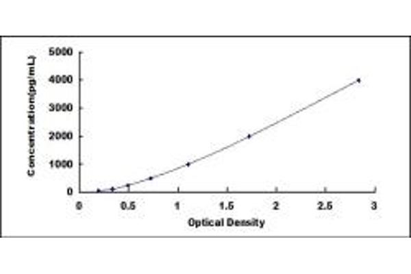 MMP1 ELISA Kit