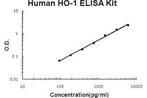 Image no. 1 for Heme Oxygenase (Decycling) 1 (HMOX1) ELISA Kit (ABIN6720268)