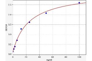 THBS4 ELISA Kit