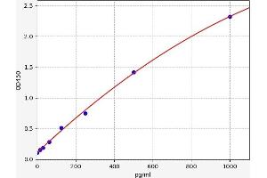 Human NF-L / NEFL Quant ELISA Kit, Sandwich