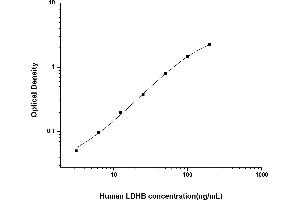 Image no. 1 for Lactate Dehydrogenase B (LDHB) ELISA Kit (ABIN6963498)