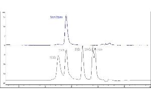 Image no. 3 for Human Serum Albumin (HSA) (AA 25-609) protein (His tag) (ABIN2181228)
