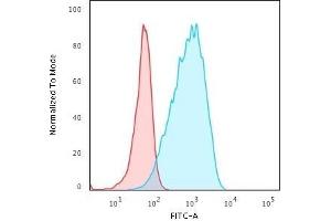 Image no. 2 for anti-Major Histocompatibility Complex, Class II, DP beta 1 (HLA-DPB1) antibody (ABIN6939630)