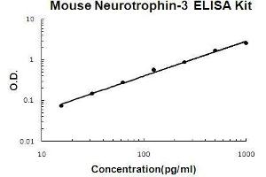 Image no. 1 for Neurotrophin 3 (NTF3) ELISA Kit (ABIN411339)