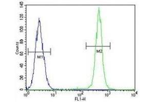 IGF1 antibody flow cytometric analysis of A549 cells (green) compared to a negative control cell (blue).