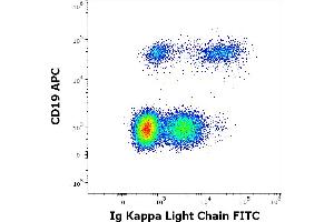 Image no. 3 for anti-kappa Light Chain antibody (FITC) (ABIN192417)