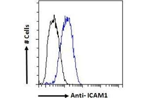Image no. 4 for anti-Intercellular Adhesion Molecule 1 (ICAM1) (AA 313-327) antibody (ABIN2613438)