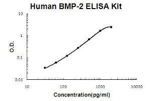 Image no. 1 for Bone Morphogenetic Protein 2 (BMP2) ELISA Kit (ABIN411260)