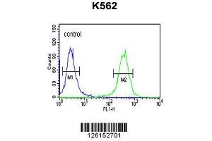 Image no. 3 for anti-Elongator Acetyltransferase Complex Subunit 6 (ELP6) (AA 223-252), (C-Term) antibody (ABIN651356)