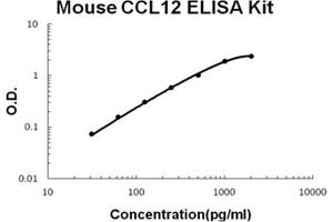 Image no. 1 for Chemokine (C-C Motif) Ligand 12 (Ccl12) ELISA Kit (ABIN6720185)