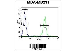Image no. 3 for anti-Cytochrome P450, Family 2, Subfamily A, Polypeptide 7 (CYP2A7) (AA 121-148) antibody (ABIN654434)