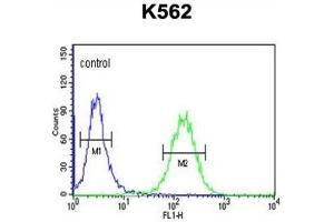 Image no. 1 for anti-Suppressor of Var1, 3-Like 1 (SUPV3L1) antibody (ABIN3004313)