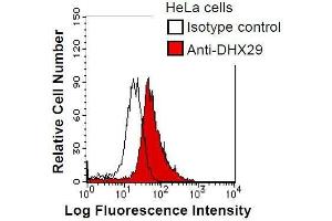 Image no. 1 for anti-DEAH (Asp-Glu-Ala-His) Box Polypeptide 29 (DHX29) antibody (ABIN931040)