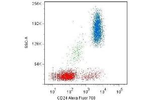 CD24 antibody  (APC)