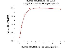 Immobilized Human PDGF-BB, Tag Free (ABIN6731333,ABIN6809924) at 5 μg/mL (100 μL/well) can bind Human PDGFRB, Fc Tag (ABIN2181628,ABIN2181627) with a linear range of 0.
