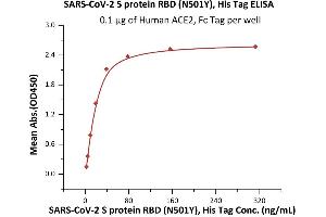 ELISA image for SARS-CoV-2 Spike (N501Y), (RBD) (Active) protein (His tag) (ABIN7013267)