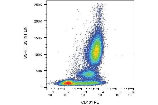anti-CD101 (CD101) antibody (PE)