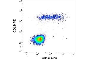 Image no. 3 for anti-T-cell surface glycoprotein CD1c (CD1C) antibody (APC) (ABIN6240833)