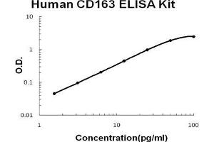 Image no. 1 for CD163 (CD163) ELISA Kit (ABIN1672779)