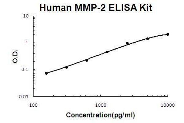 Matrix Metalloproteinase 2 (MMP2) ELISA Kit