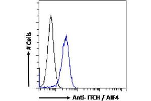 Image no. 4 for anti-Itchy E3 Ubiquitin Protein Ligase Homolog (ITCH) (Internal Region) antibody (ABIN334426)
