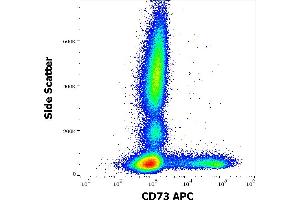 Image no. 1 for anti-5'-Nucleotidase, Ecto (CD73) (NT5E) antibody (APC) (ABIN6240819)