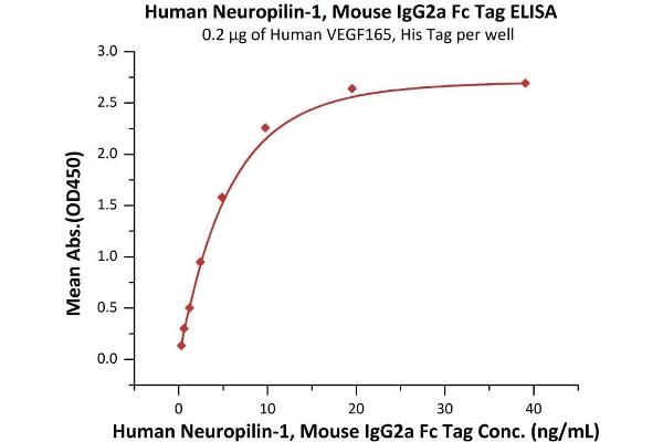 Neuropilin 1 (NRP1) (AA 22-644) (Active) protein (mFc Tag)