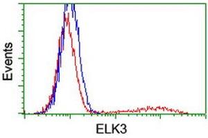 Image no. 3 for anti-ELK3, ETS-Domain Protein (SRF Accessory Protein 2) (ELK3) antibody (ABIN1498007)