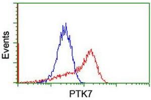 Image no. 1 for anti-PTK7 Protein tyrosine Kinase 7 (PTK7) antibody (ABIN1497127)