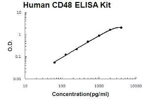 Image no. 1 for CD48 (CD48) ELISA Kit (ABIN5510693)