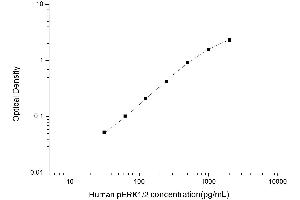 Image no. 1 for Mitogen-Activated Protein Kinase 1/3 (MAPK1/3) ELISA Kit (ABIN6962376)
